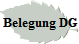 Belegung DG