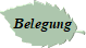 Belegung