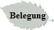 Belegung