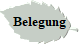 Belegung